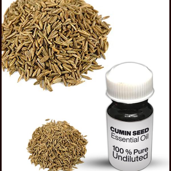 Cumin Seed Essential Oil
