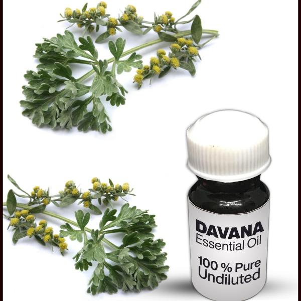 Davana Essential Oil