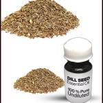 Dill Seed Essential Oil