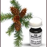 Fir Douglas Essential Oil