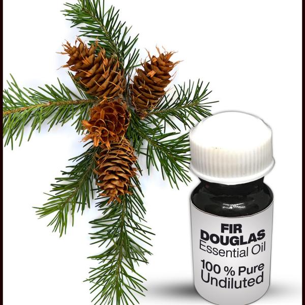Fir Douglas Essential Oil