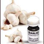 Garlic Essential Oil