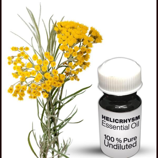 Helichrysum Essential Oil