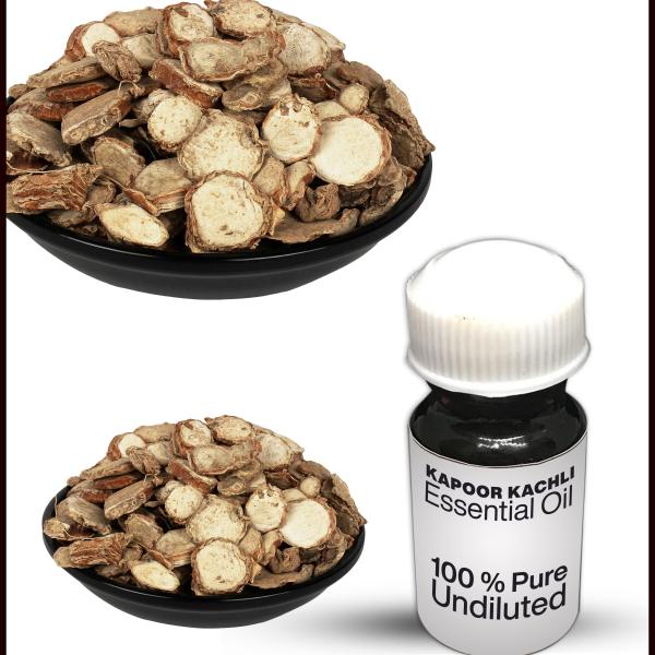 Kapoor Kachli Essential Oil