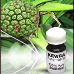 Kewra Essential Oil
