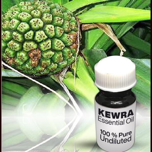 Kewra Essential Oil