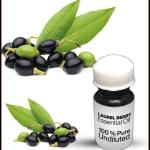 Laurel Berry Essential Oil