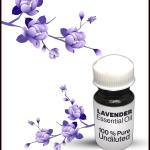 Lavender Essential Oil