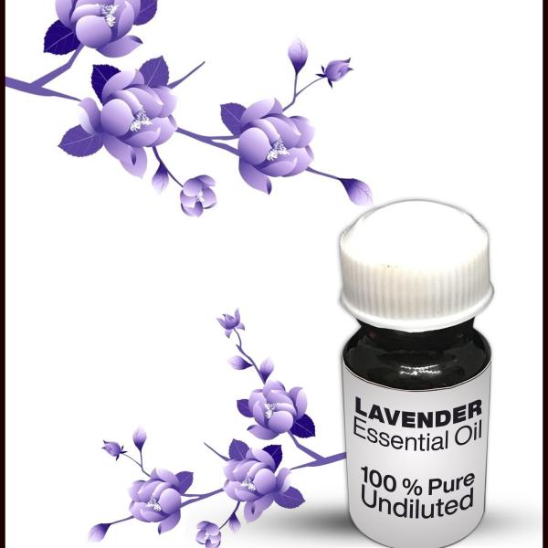 Lavender Essential Oil