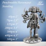 Panchmukhi Hanuman Idol In Pure 925 Silver (1)