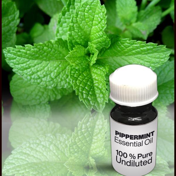Peppermint Essential Oil