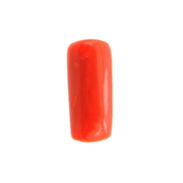 Natural Red Italian Coral 8-9 Carats