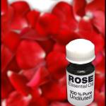 Rose Essential Oil