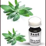 Sage Essential Oil