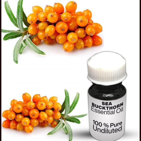 Sea Buckthorn Essential Oil