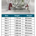 Shreemant Dagdusheth Halwai Ganesh Idol In Pure 925 Silver (1)