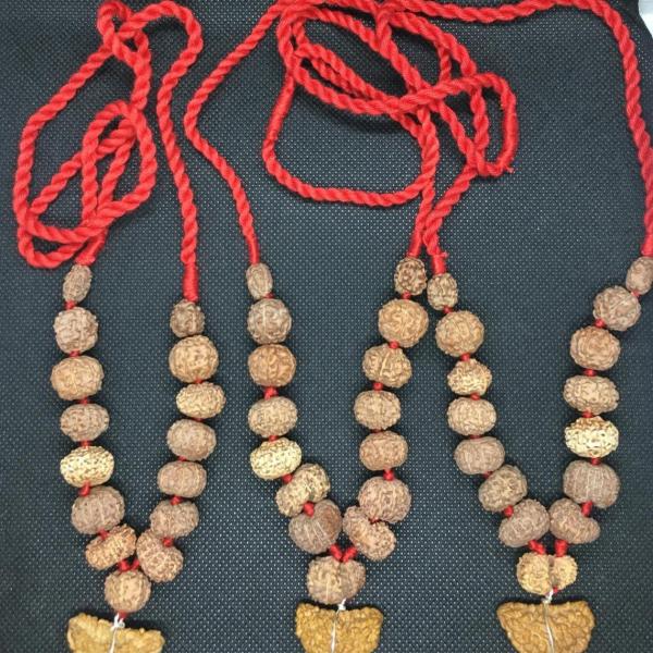 Indonesian Siddha Mala Rudraksha In Thread Indonesian Origin Medium Size Beads