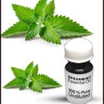 Spearmint Essential Oil
