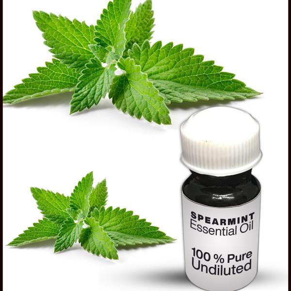 Spearmint Essential Oil