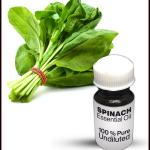 Spinach Essential Oil