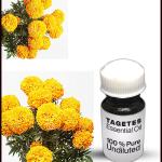Tagetes Essential Oil