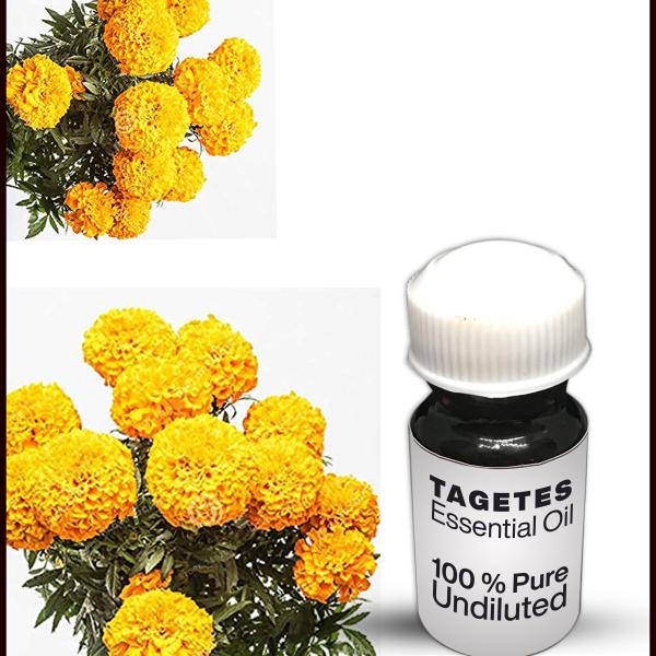 Tagetes Essential Oil