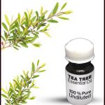 Tea Tree Essential Oil