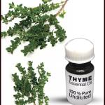 Thyme Essential Oil
