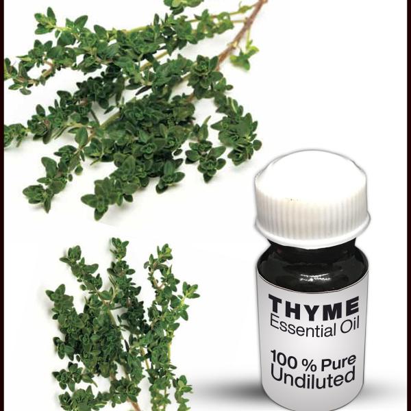 Thyme Essential Oil