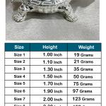 Tortoise In Pure 925 Silver