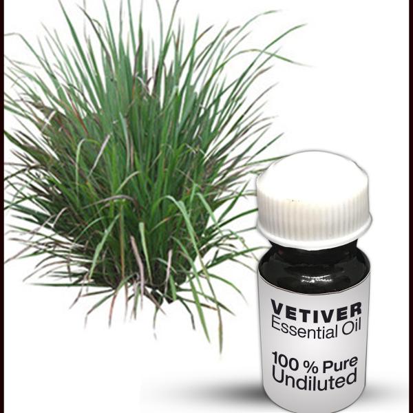 Vetiver Essential Oil