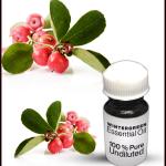 Wintergreen Essential Oil