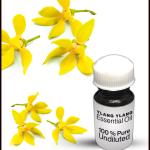 Ylang Ylang Essential Oil